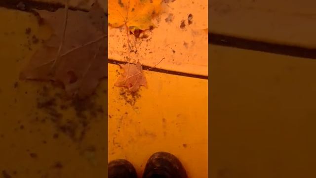 Прохожу паркур в детском саду?? смотреть онлайн