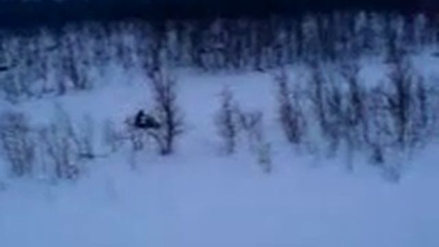 lynx sport xr crazy 380! смотреть онлайн