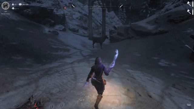 Faela Of The Summerset Isles | Skyrim Anniversary Edition: Witch Of Nolvus #1 смотреть онлайн