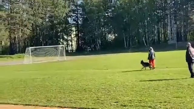 Жанет из Белого Яра (о.HERO DI CA'SAN MARCO / м. JESSIKA V.FRANKENGOLD) смотреть онлайн