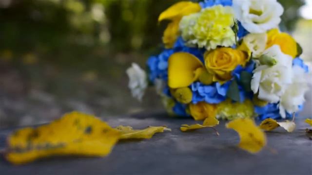 Ведущая Виктория Ткаченко 050 528 90 98 Александр и Наталья. Прекрасная свадьба смотреть онлайн