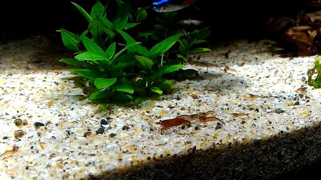 Перезапустился) смотреть онлайн