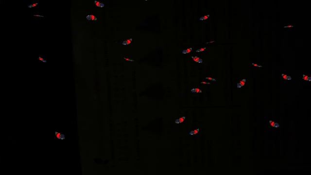 Летающие ярко красные бабочки смотреть онлайн