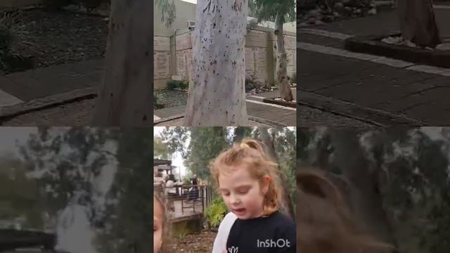 я гуляю в тревии(2 часть) смотреть онлайн
