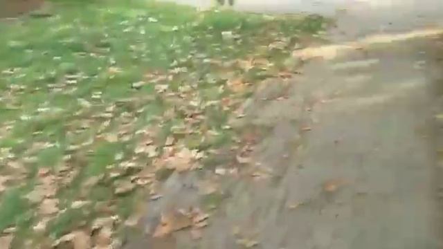 drom купить станица Выселки улица лунёва смотреть онлайн