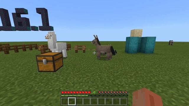Minecraft 1.16.1 - ALL WORKING DUPLICATION GLITCHES 2020 TUTORIAL! XBOX,PE,WINDOWS10,SWITCH,PS4 смотреть онлайн