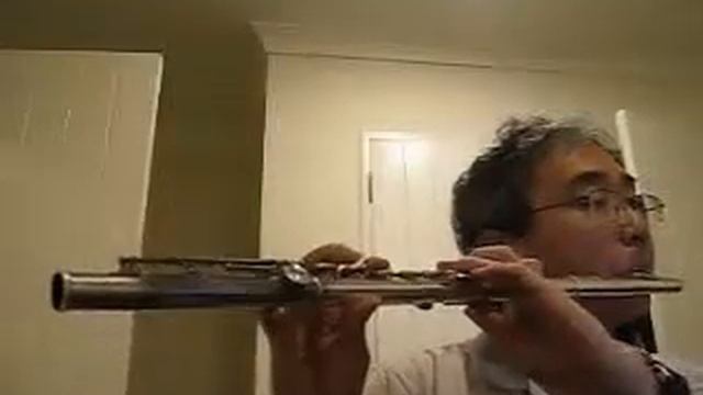 Michael Haydn Symphony No. 2 3rd movement in C - Flute by Won Shik Paik смотреть онлайн
