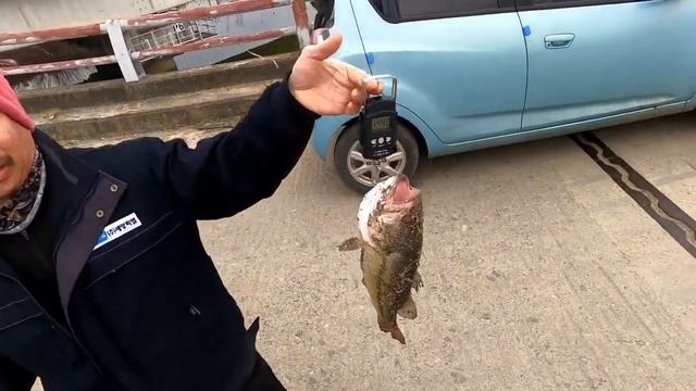 Южная Корея. Караси порадовали рыбалка на паук подъёмник. поймал большеротого окуня #рыбалка #낚시 смотреть онлайн
