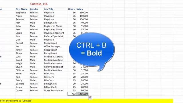 Excel Merge/Center, Data and Currency Format, SUM function, Inserting Rows and Columns смотреть онлайн