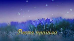 Футаж. Весна пришла 11