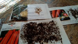 5.Подготовка семян МОРКОВИ к посеву (в чем замочить) и все про МОРКОВЬ.