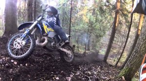 почему Шишки