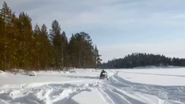 Arctic cat смотреть онлайн