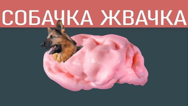 Собачка Жвачка - Dog Gum смотреть онлайн
