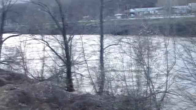 Псекупс опять поднялся смотреть онлайн