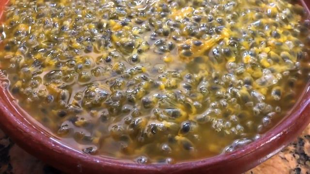 Mis matas de Pasiflora,, Maracuya,,Passion Fruit смотреть онлайн