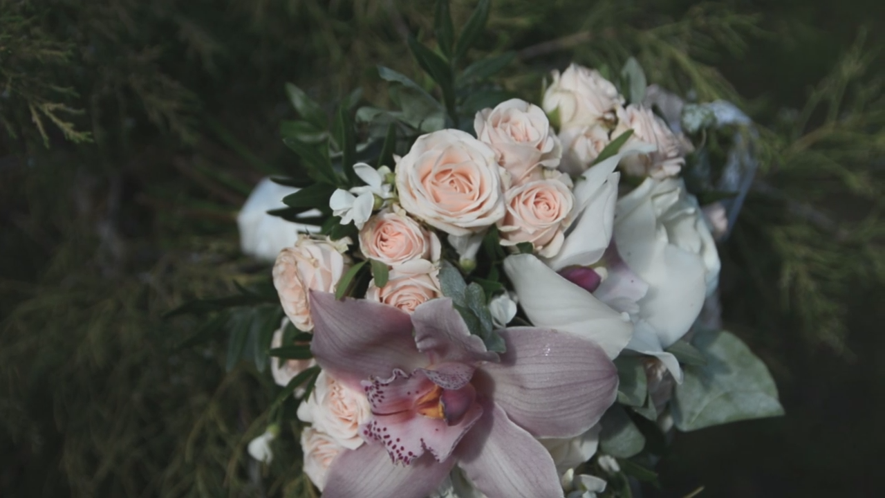 Wedding Day Олега и Анны 9-06-17