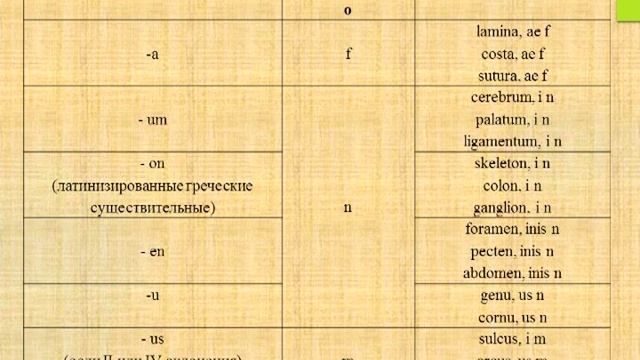 Лекция: «Имя существительное. Латинские несогласованные определения в медицинской терминологии». смотреть онлайн