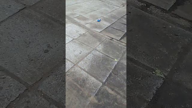 Гуляем. Осень 2016. смотреть онлайн
