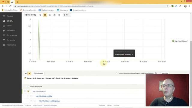 Как посмотреть в Яндекс Метрике сколько человек открыли попап | Тильда Конструктор Создания Сайтов смотреть онлайн