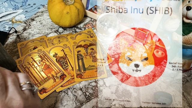 SHIB до января, крипто таро версия не фин совет? смотреть онлайн