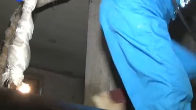 Нашествие блох смотреть онлайн
