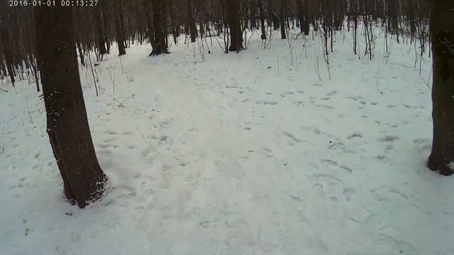 Все оттенки сиреневого. Подбор пряжи для Лаванды. смотреть онлайн