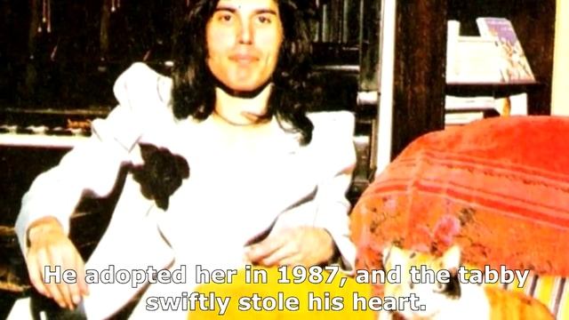 Freddie Mercury And His Cats