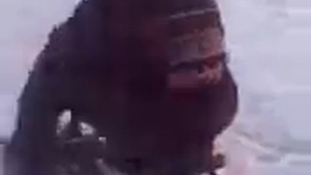 Вот так мы оджигаем на снегокатах 1 смотреть онлайн