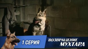 «Возвращение Мухтара»: «Черный вексель». Часть 1 (1 сезон. 1 серия)