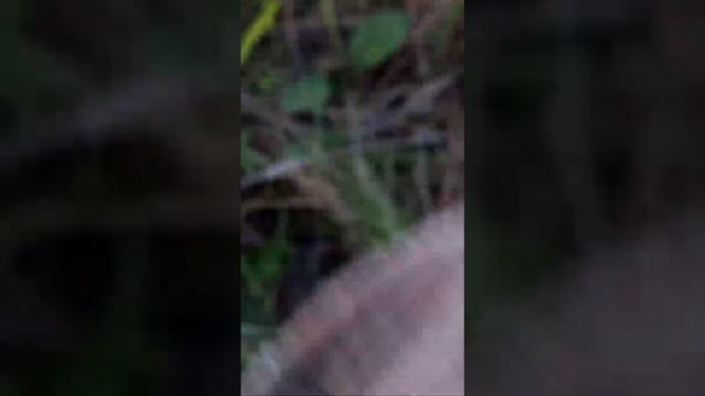Хабаровск коп смотреть онлайн