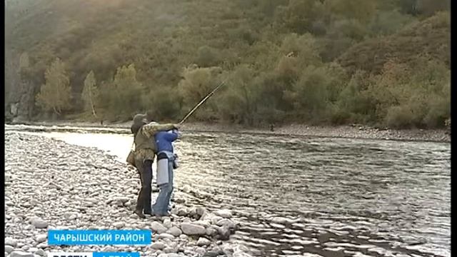 Гостеприимный Сентелек смотреть онлайн