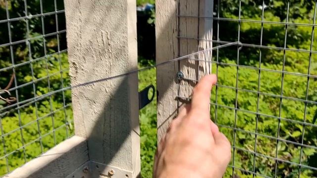 НАШИ ДРУЗЬЯ ПОСТРОИЛИ ГОЛУБИНЫЙ ДОМ МОЕЙ МЕЧТЫ! смотреть онлайн