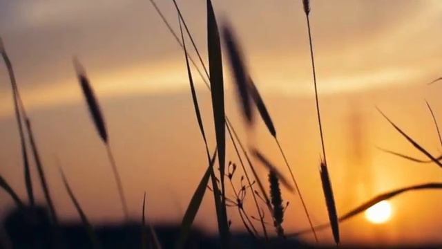 Musica Rilassante + Musica Zen + Da Massaggio + Per Yoga + Musica New Age