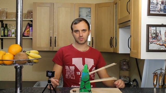 Цирковые Представления и Шоу