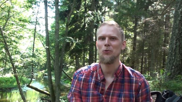 Василёк синий / Cornflower blue смотреть онлайн