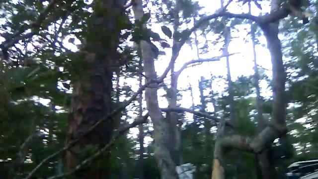 Fort Wilderness! Part 1 смотреть онлайн