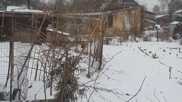 Обзор ЛПХ Тосно 🏠🐔🐈🐐 март 2021 смотреть онлайн