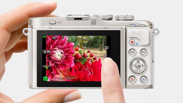 PEN E-PL10: Creating Background Bokeh with Live Guide смотреть онлайн