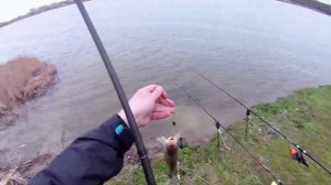 Рыбалка,Ловля Карася на Донку,Прикормка Своими Руками,флэт метод рыбалка на карася