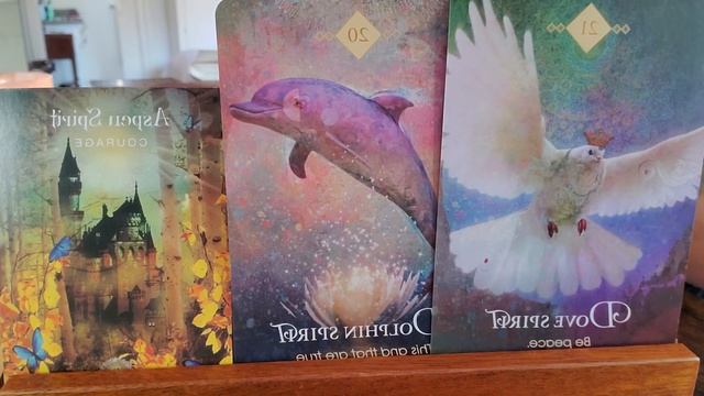 ?You have the COURAGE for this breakthrough toward peace! #oracle #tarot #messagesfromspirit смотреть онлайн