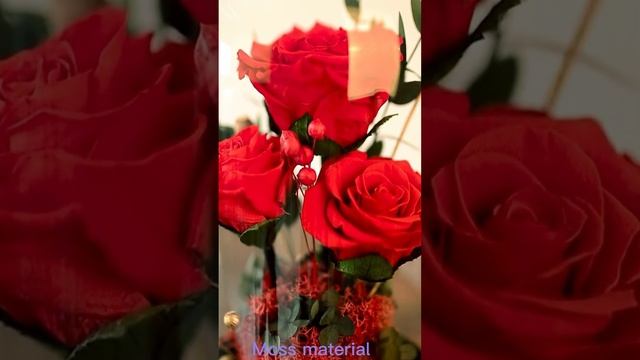 #newarrivals 2023 Classic Rose Dome For #christmas смотреть онлайн