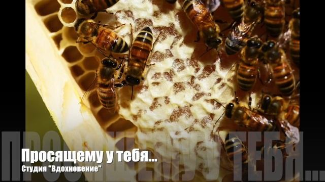 Интересный рассказ "Просящему у тебя дай" смотреть онлайн