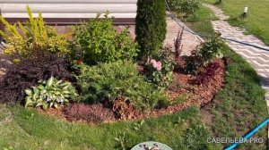 Мульча. Нужен ли геотекстиль под ней?