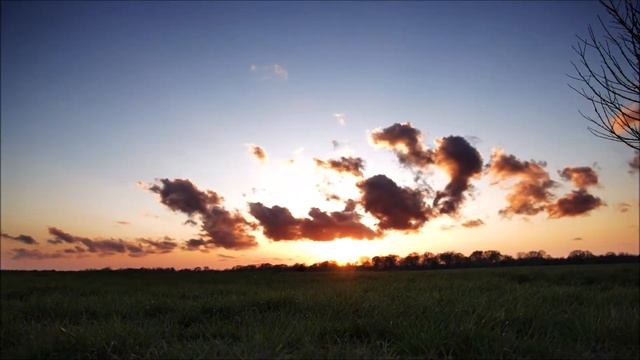 Поэта гордость - звонкий стих! автор Серова А смотреть онлайн