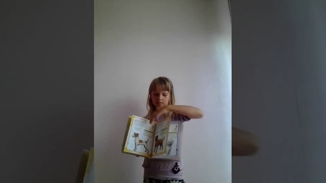 Книжка "50 порiд собак" смотреть онлайн