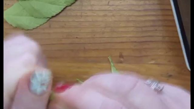 МК. Цветы из фоамирана. Повязка на голову для девочки своими руками. Часть2! смотреть онлайн