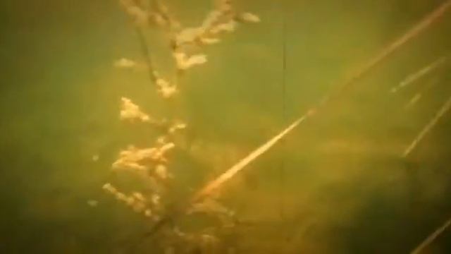 подводная рыболовная охота смотреть онлайн