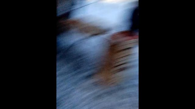 Swindee и Speedy В реальной жизни ^_^ смотреть онлайн