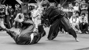 Боевые искусства мира. Пенчак Силат